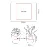 SET DE PLANTAS ALISO