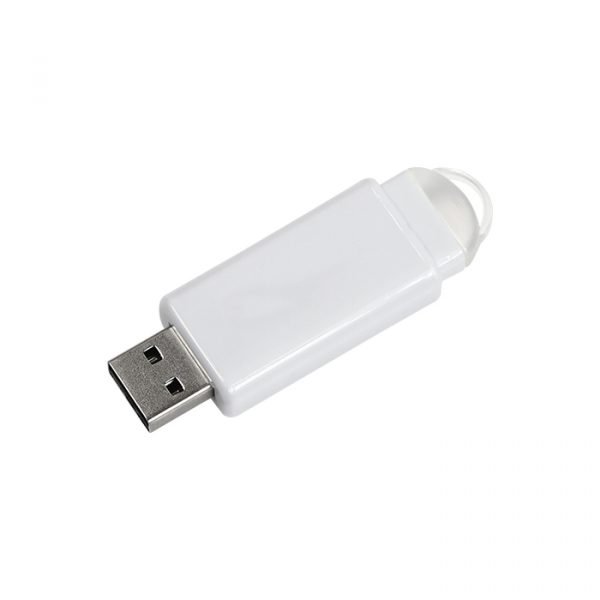 Memoria USB 8 GB.