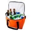 Hielera 12 pack.
