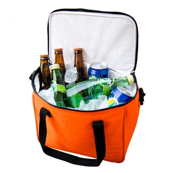 Hielera 12 pack.