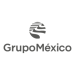 grupo mexico nuevo